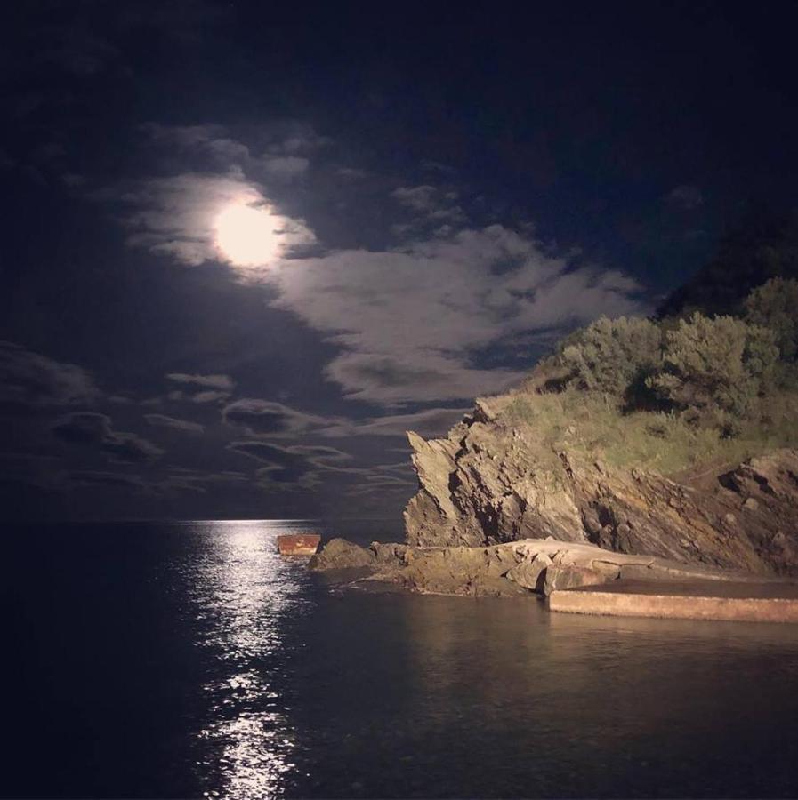 Face à la mer Résidence Les Elmes Banyuls-sur-Mer Exterior foto